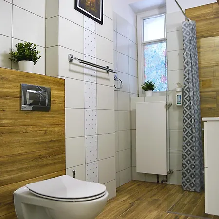 Projekt Tatry ゲストハウス ザコパネ