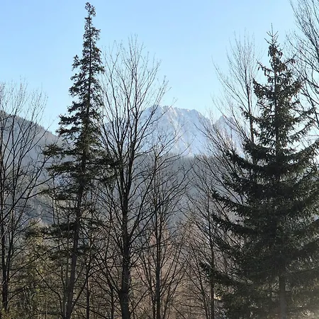 Projekt Tatry Zakopane
