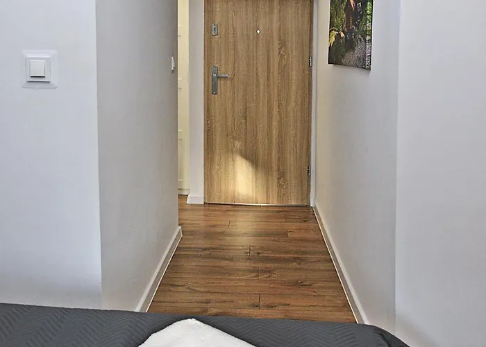 Konukevi Projekt Tatry Zakopane